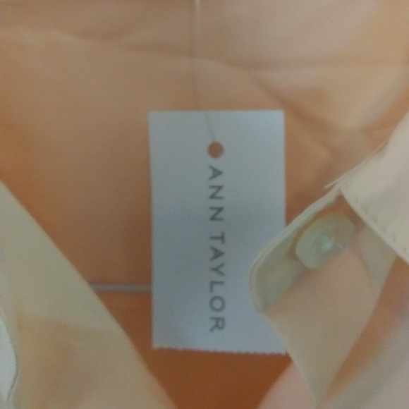 Ann Taylor short sleeve button down top. - Picture 3 of 4